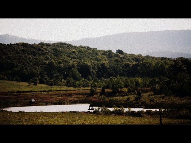 Felicity Ranch